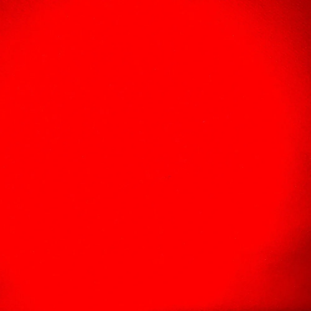 Vibrant Red Skirt